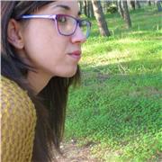 Ingegnere edile - architetto